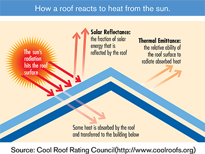 SNS Absolute Roofing Images
