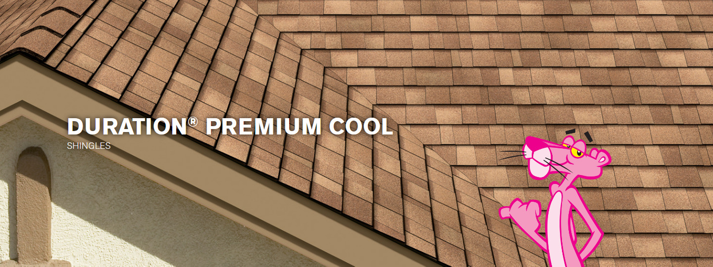 SNS Absolute Roofing Images