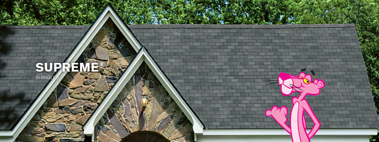 SNS Absolute Roofing Images