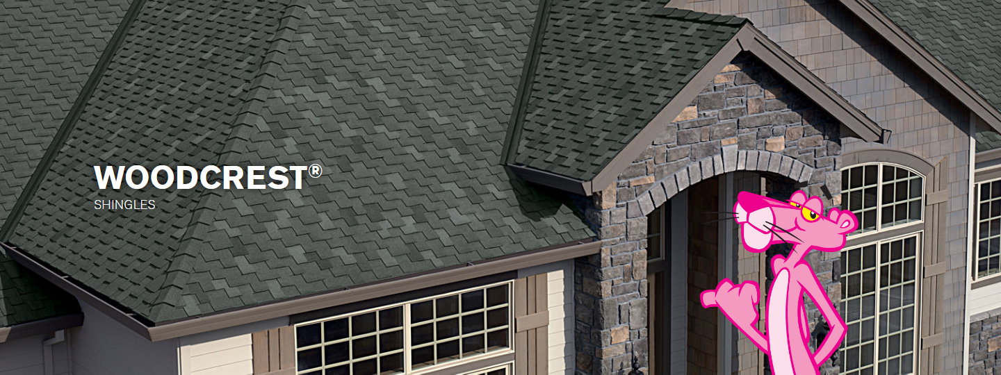 SNS Absolute Roofing Images