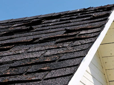 SNS Absolute Roofing Images